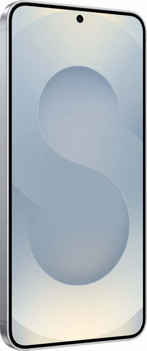 Samsung Galaxy S25 Enterprise Edition 128GB Silver Shadow