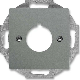 Busch-Jaeger Zentralscheibe Befehlsgeräte 1-fach, graumetallic