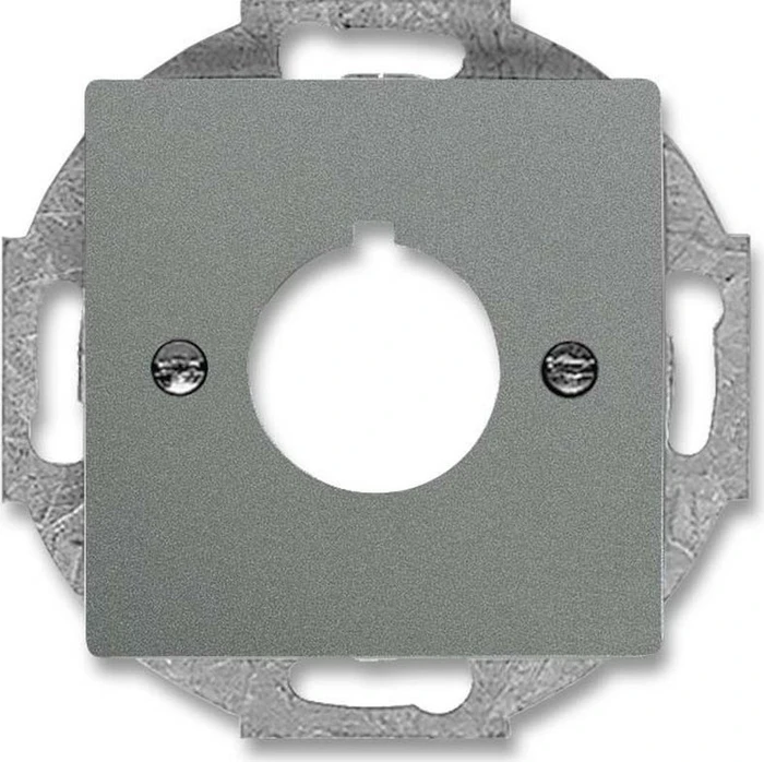 Busch-Jaeger Zentralscheibe Befehlsgeräte 1-fach, graumetallic