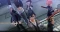 The Legend of Heroes: Trails of Cold Steel III & The Legend of Heroes: Trails of Cold Steel IV - Deluxe Edition (PS5) Vorschaubild