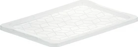 Rotho Evo Easy Storage Deckel für Aufbewahrungsbox 590x20x395mm, transparent/transparent