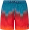 Protest Bowery Badeshorts (Herren) Vorschaubild