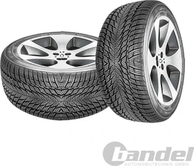 Fortuna Winter 245/45 R18 100V XL