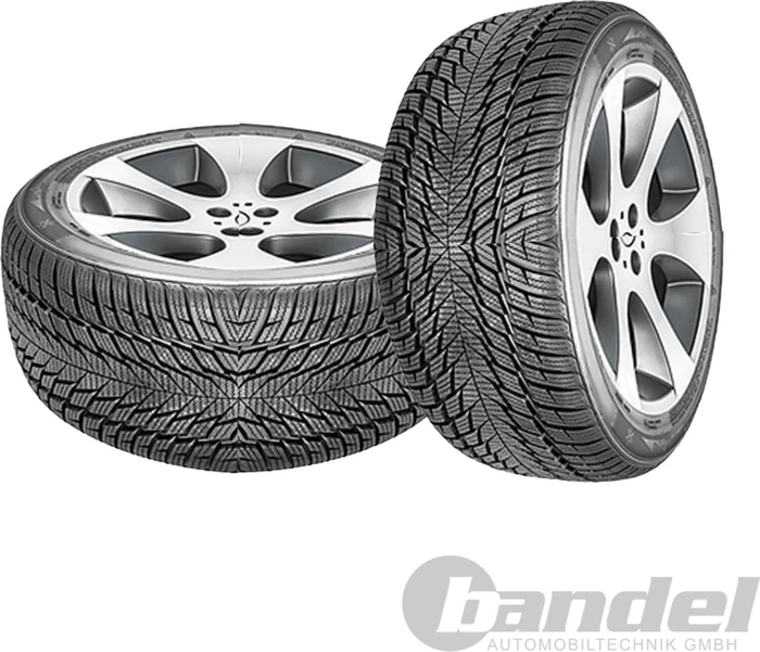 Fortuna Winter 245/45 R18 100V XL