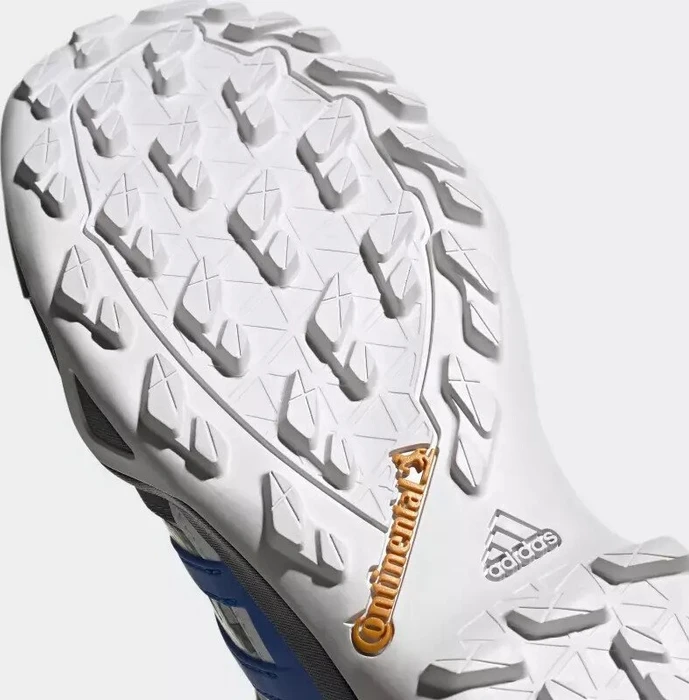 adidas Terrex Swift R2 GTX grey two/glory blue/core black (Herren)