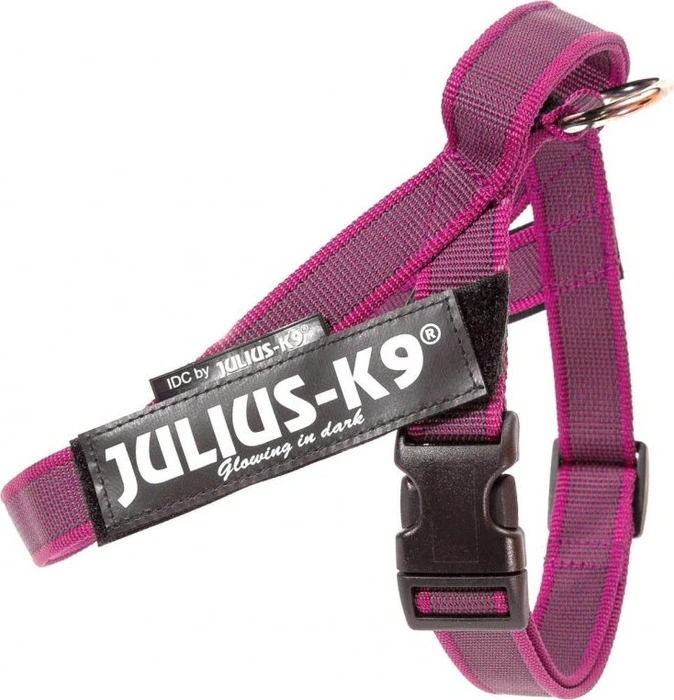 Julius K9 IDC Color & Gray Beltgeschirr S, Pink