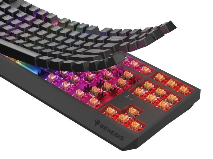 Genesis Thor 230 TKL Wireless, schwarz, LEDs RGB, hot-swap, Outemu Panda, USB/Bluetooth, US
