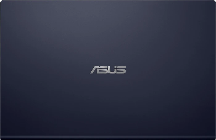 ASUS ExpertBook P1 P1510CDA-EJ1016R, Star Black, Ryzen 7 3700U, 16GB RAM, 512GB SSD, DE