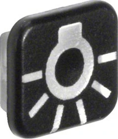 Berker W.1 Linse mit Aufdruck Symbol für Licht, transparent