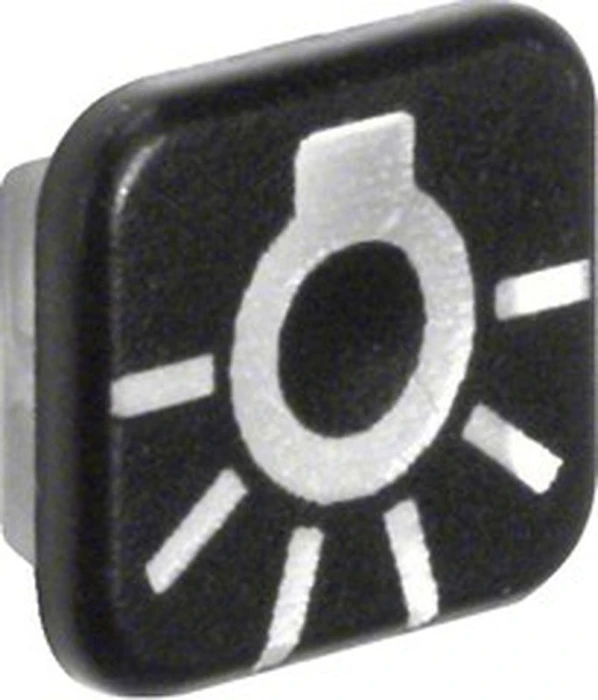 Berker W.1 Linse mit Aufdruck Symbol für Licht, transparent