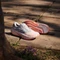 adidas Supernova Rise 3 clear orange/silver metallic/glory grey (Damen) Vorschaubild