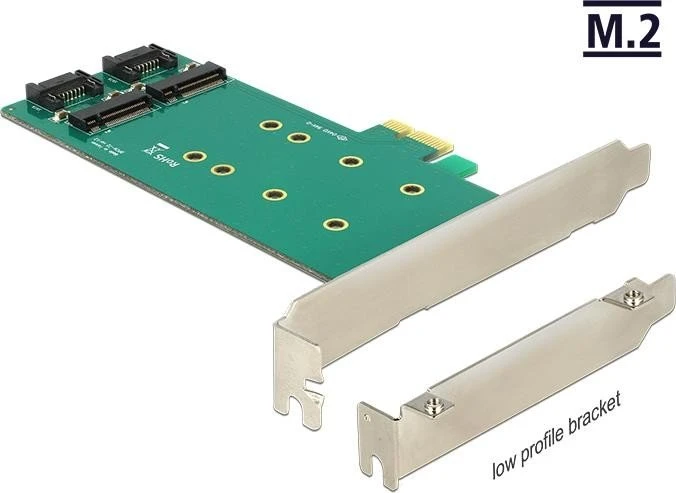 DeLOCK PCIe -> M.2 SATA