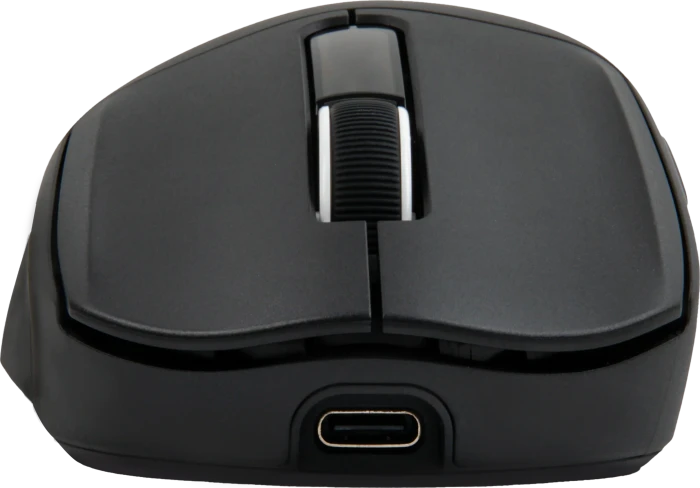 Epomaker Nex Lite Wireless Gaming Mouse mit Ladestation, schwarz, USB/Bluetooth