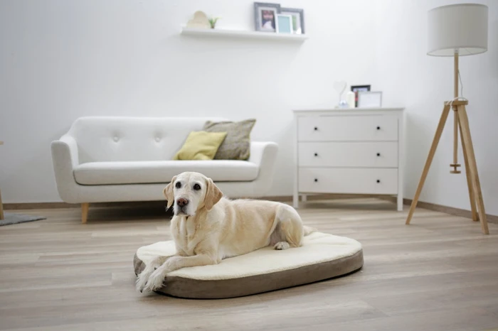 Kerbl Matratze Memory-Foam, 100x65x8cm, taupe/beige