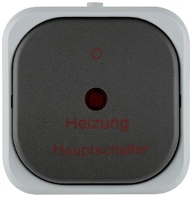 REV Ritter AquaTop Heizung Hauptschalter AP IP 44, grau