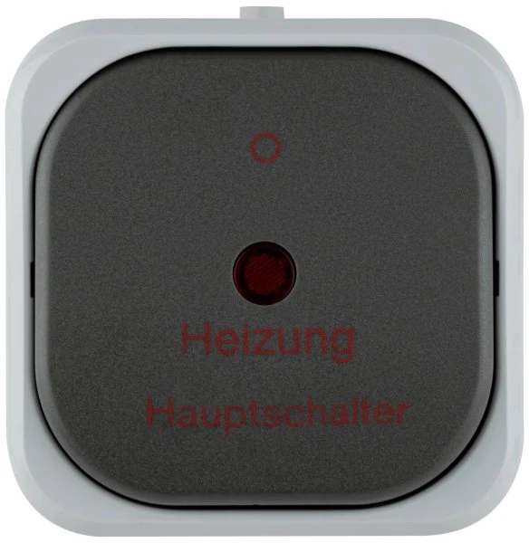 REV Ritter AquaTop Heizung Hauptschalter AP IP 44, grau