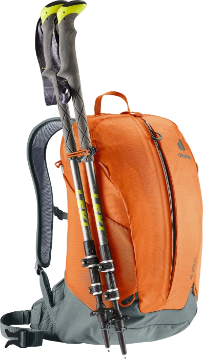 Deuter AC Lite 17 chestnut/teal