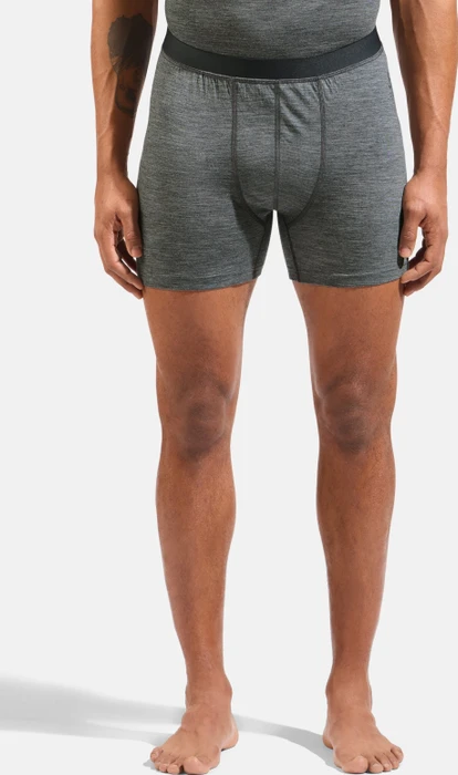 Odlo Natural Merino 160 Boxer Briefs odlo steel grey melange (Herren)