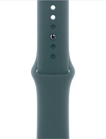 Apple Sportarmband S/M für Apple Watch 42mm seegrün
