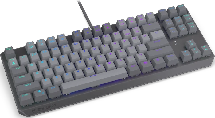 Endorfy Thock V2 TKL, PBT, grau, LEDs RGB, hot-swap, Endorfy RED, USB, US