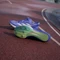 adidas Adizero Finesse cobalt blue/zero metalic/aurora ink Vorschaubild