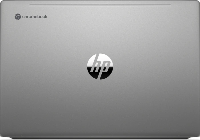 HP Chromebook 14b-na0350ng, Mineral Silver, Ryzen 5 3500C, 8GB RAM, 128GB SSD, DE