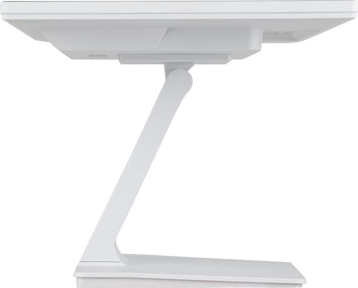 iiyama ProLite T2452MSC-W1, 23.8"