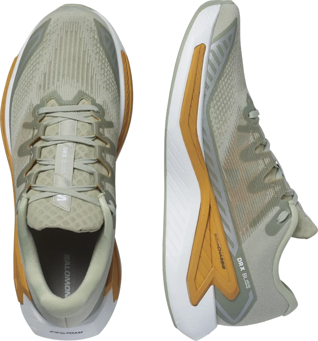 Salomon DRX Bliss desert sage/zinna/white (Herren)