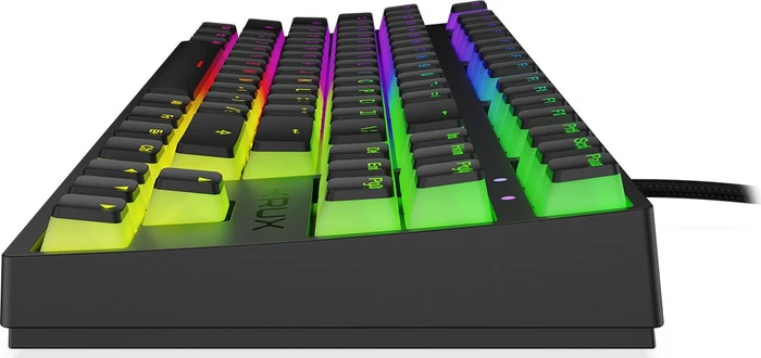 Krux Atax Pro RGB Pudding, TKL, schwarz, LEDs RGB, Gateron YELLOW, USB, US
