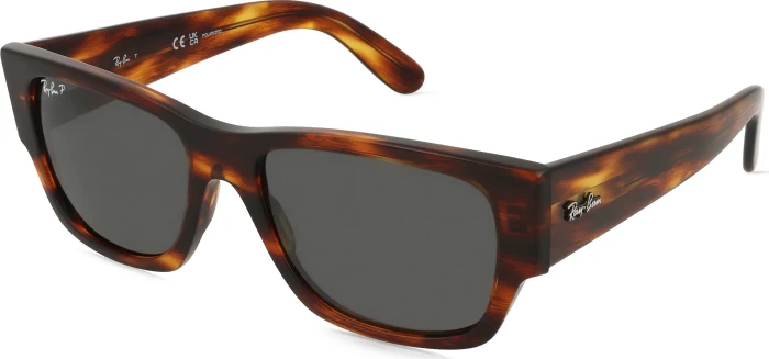 Ray-Ban RB0947S Carlos