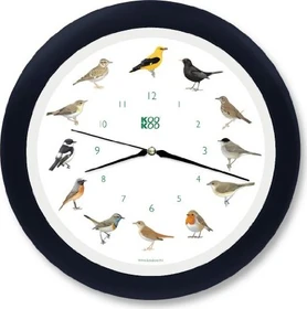 KooKoo Singvögel schwarzblau