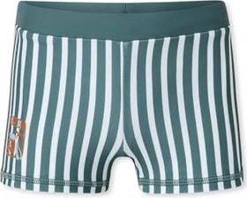 Schiesser Aqua Streifen Badehose mineral (Junior)