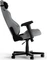 DXRacer Drifting Series 2023 XL Kunstleder/Stoff Gamingstuhl, grau Vorschaubild