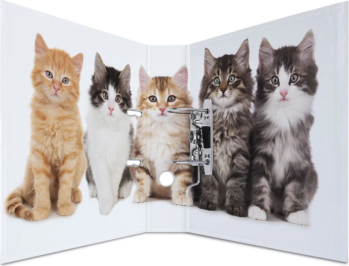Herma Ordner 2-Ring mit Motiv, 70mm, A4, Animals Katzen