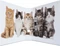 Herma Ordner 2-Ring mit Motiv, 70mm, A4, Animals Katzen Vorschaubild
