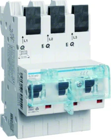 Hager SLS Schalter 3 polig Cs-Charakteristik 63A für Sammelschiene QuickConnect
