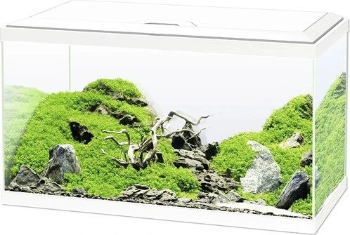 Ciano Aqua 60 Aquarium-Set ohne Unterschrank