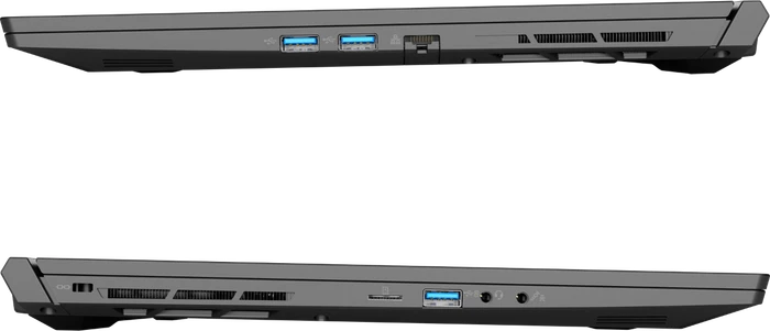 Schenker XMG PRO 17-E21, Core i7-10870H, 16GB RAM, 500GB SSD, GeForce RTX 3070, DE