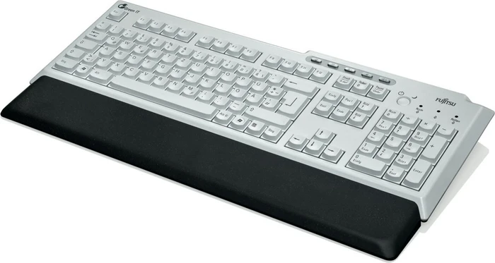 Fujitsu KBPC PX ECO Keyboard, hellgrau/schwarz, USB, DE