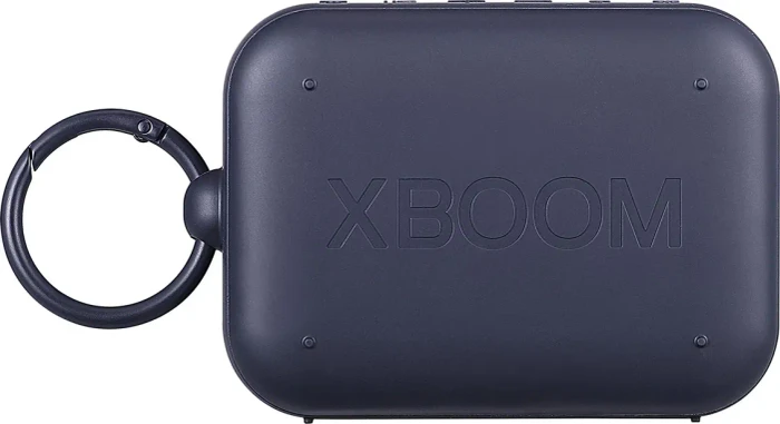 LG XBoom Go DXG1