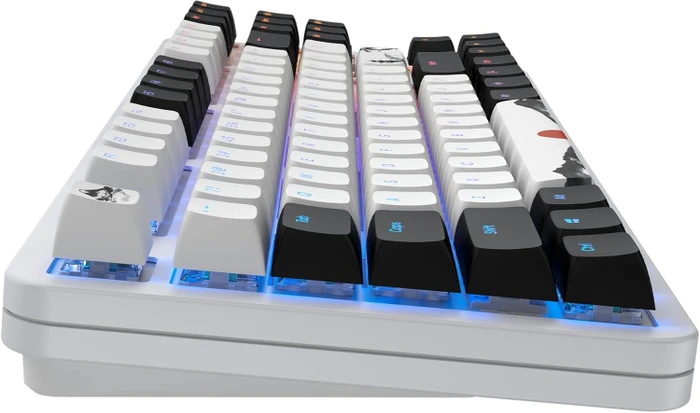 Dark Project ALU87 Fuji II Gaming Keyboard, weiß/schwarz, LEDs RGB, g3ms Sapphire, USB, US