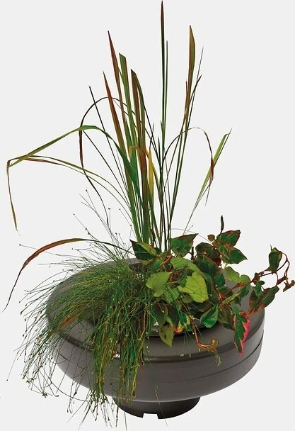 SuperFish Floating Island schwimmender Teich-Pflanzenkorb 25x5cm