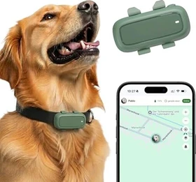 LocoGPS GPS Tracker für Hunde, grün