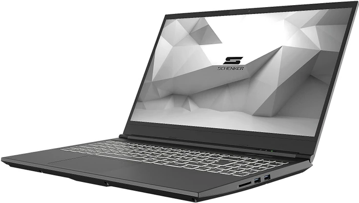 Schenker Media 17-E20fxp E20fxp, Core i7-10750H, 16GB RAM, 1TB SSD, GeForce RTX 2060, DE