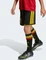 adidas FIFA WM 2026 Belgien Heimshorts (Junior) Vorschaubild