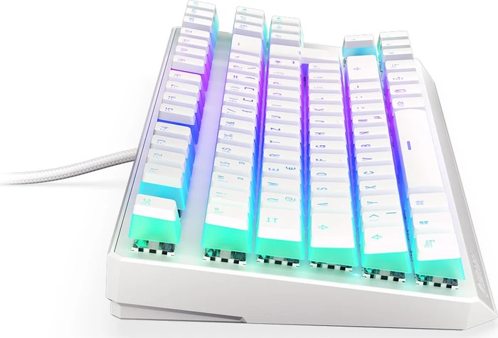 Endorfy Thock TKL Pudding, Onyx White, PBT, LEDs RGB, Kailh BROWN, USB, DE