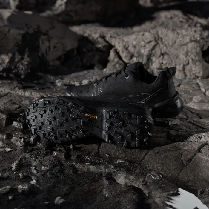 adidas Terrex Skychaser Ax5 Gore-Tex core black/carbon (Herren)