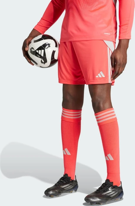 adidas Tiro 24 Shorts shock red (Herren)