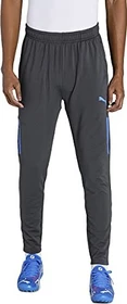 Puma Individual Cup Trainingshose lang asphalt/bluemazing (Herren)
