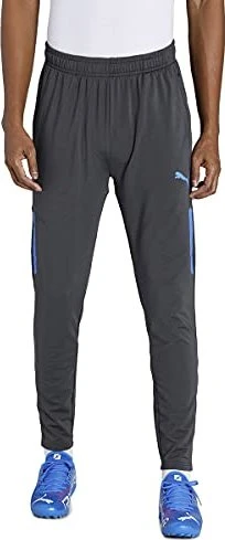 Puma Individual Cup Trainingshose lang asphalt/bluemazing (Herren)